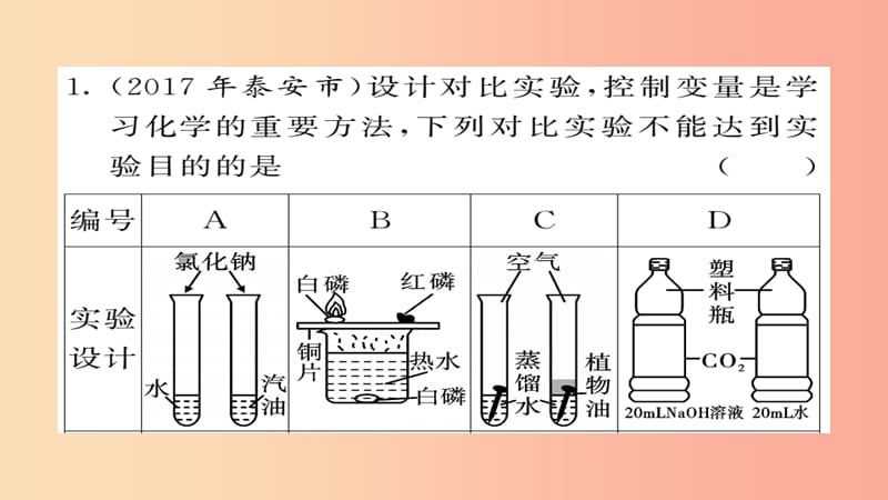 2019年中考化学总复习 第二轮 专题训练 提升能力 专题六 实验探究练习课件.ppt_第2页