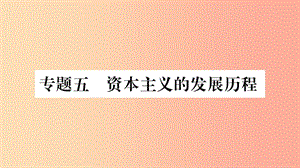 湖南省2019年中考?xì)v史復(fù)習(xí) 第二篇 知能綜合提升 專題突破5 資本主義的發(fā)展歷程課件.ppt