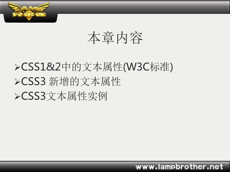 CSS3的新增文本属性.ppt_第2页