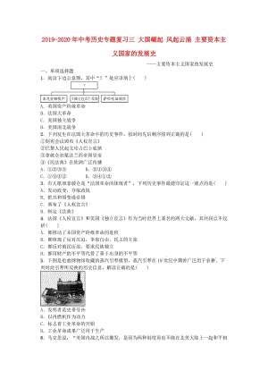 2019-2020年中考?xì)v史專題復(fù)習(xí)三 大國崛起 風(fēng)起云涌 主要資本主義國家的發(fā)展史.doc