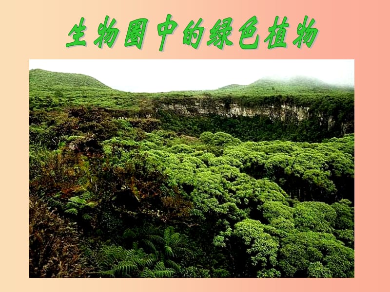 吉林省七年级生物上册 3.1.1 藻类苔藓和蕨类植物课件2 新人教版.ppt_第1页