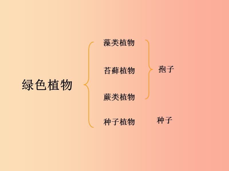 吉林省七年级生物上册 3.1.1 藻类苔藓和蕨类植物课件2 新人教版.ppt_第2页