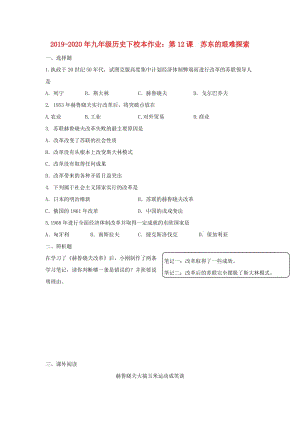 2019-2020年九年級歷史下校本作業(yè)：第12課 蘇東的艱難探索.doc