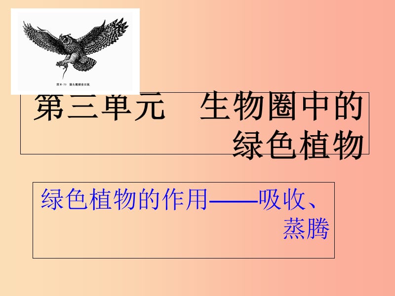 广东省河源市七年级生物上册 3.3绿色植物与生物圈的水循环课件 新人教版.ppt_第1页