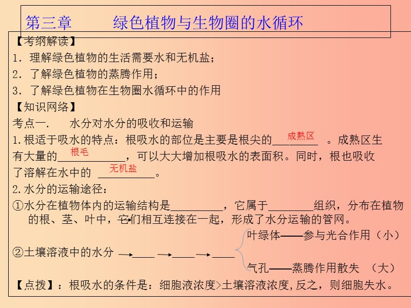 广东省河源市七年级生物上册 3.3绿色植物与生物圈的水循环课件 新人教版.ppt_第2页