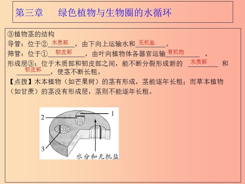 广东省河源市七年级生物上册 3.3绿色植物与生物圈的水循环课件 新人教版.ppt_第3页