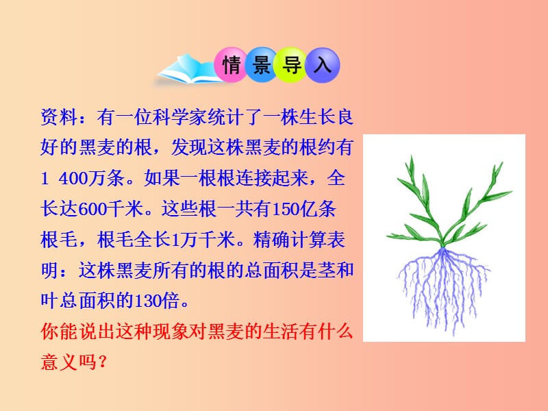 吉林省长春市七年级生物上册第三单元第二章第二节植株的生长课件1 新人教版.ppt_第1页