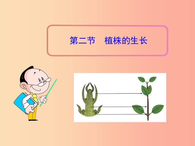 吉林省长春市七年级生物上册第三单元第二章第二节植株的生长课件1 新人教版.ppt_第2页