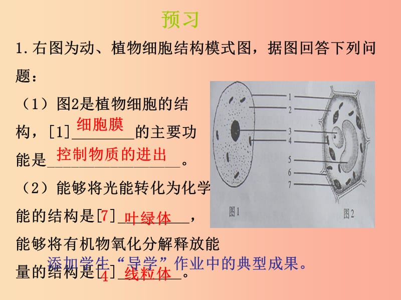 山东省七年级生物上册 1.2.1《细胞的结构和功能》（第1课时）课件（新版）济南版.ppt_第2页