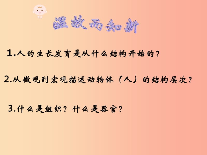 2019年七年级生物上册2.2.3植物体的结构层次课件4 新人教版.ppt_第2页