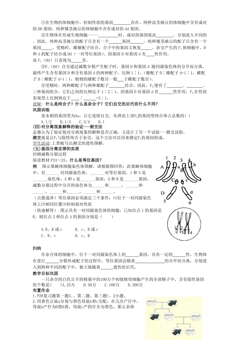 2019-2020年高二生物第二节遗传的基本规律学案.doc_第2页