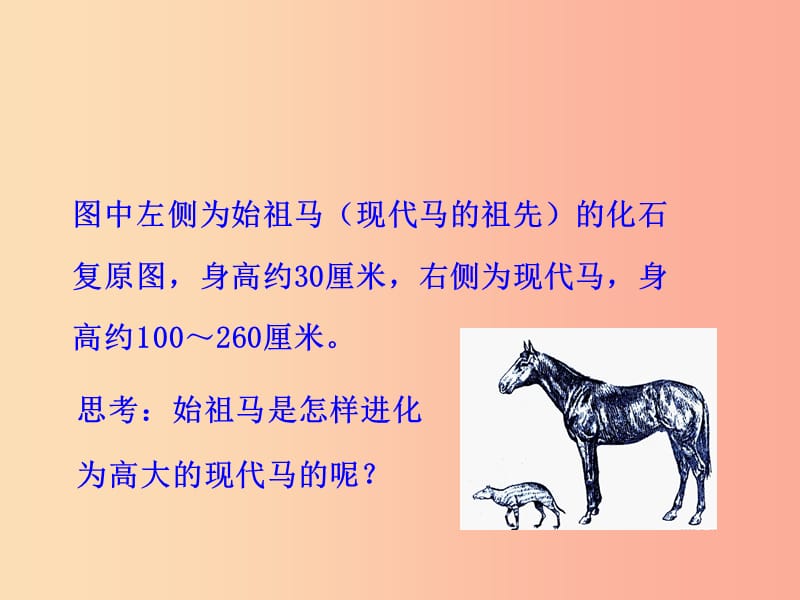 八年级生物下册第七单元生物圈中生命的延续和发展第三章生命起源和生物进化第三节生物进化的原因教学.ppt_第2页