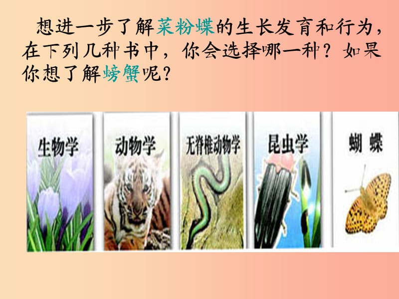 吉林省通化市八年级生物上册 6.1.1尝试对生物进行分类课件 新人教版.ppt_第3页