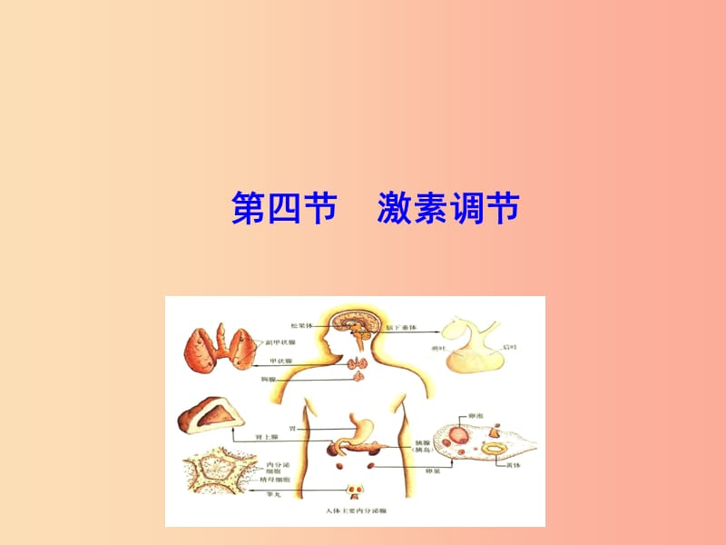 七年级生物下册 第四单元 生物圈中的人 第六章 人体生命活动的调节 第四节 激素调节教学课件 新人教版.ppt_第1页