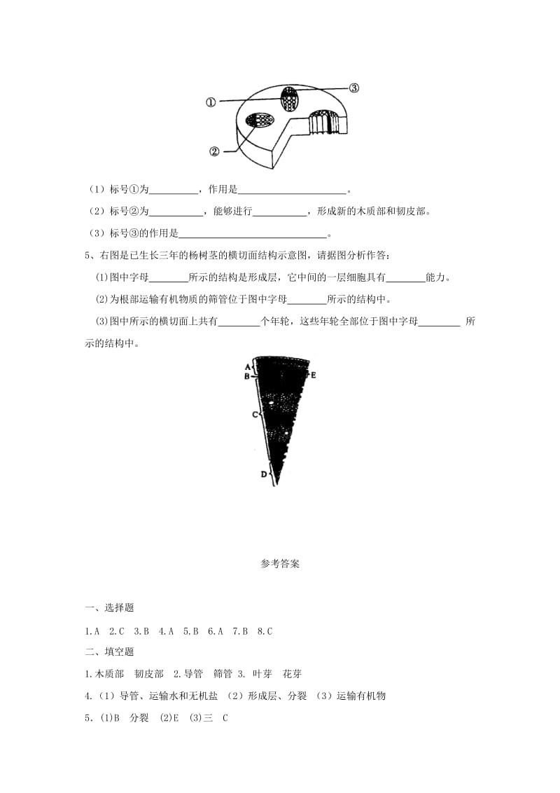 2019-2020年七年级生物上册3.5.4《植物茎的输导功能》课时训练（新版）苏教版.doc_第2页