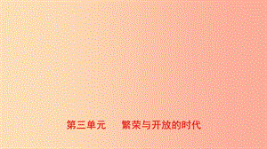 山東省泰安市2019年中考歷史一輪復習 第三單元 繁榮與開放的時代課件.ppt