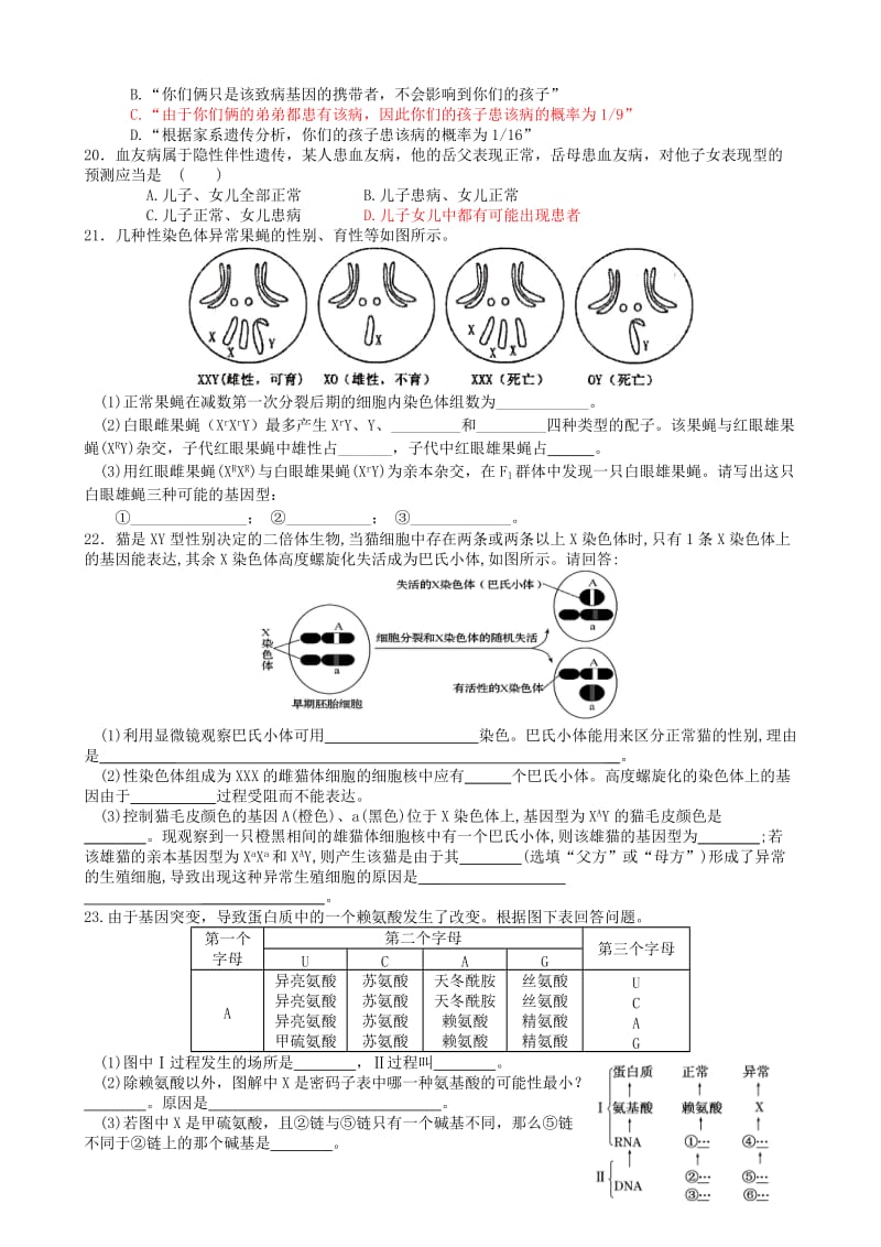 2019-2020年高考生物一轮复习《第五章 基因突变及其他变异》单元综合测试 新人教版必修2.doc_第3页