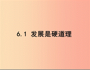 2019年九年級政治全冊 第三單元 關(guān)注國家的發(fā)展 第六課 走強國富民之路 第一框發(fā)展是硬道理課件 魯教版.ppt