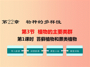 2019春八年級(jí)生物下冊 第7單元 第22章 第3節(jié) 植物的主要類群（第1課時(shí) 苔蘚植物和蕨類植物）課件 北師大版.ppt