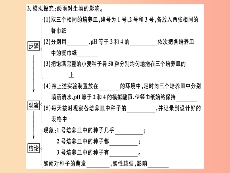 2019七年级生物下册 第四单元 第七章 第二节 探究环境污染对生物的影响习题课件 新人教版.ppt_第3页