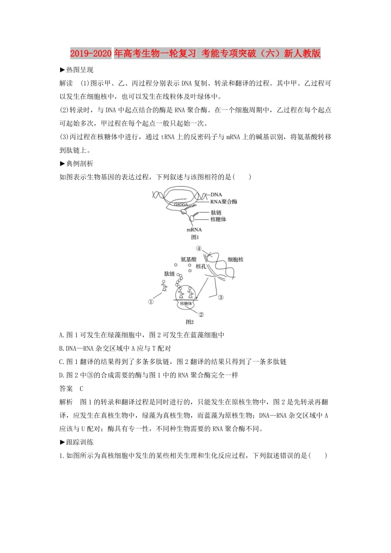 2019-2020年高考生物一轮复习 考能专项突破（六）新人教版.doc_第1页