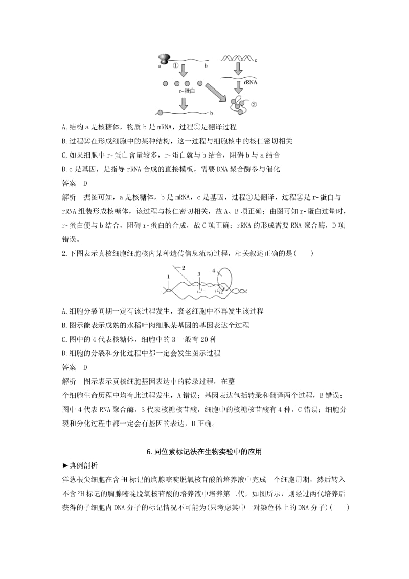 2019-2020年高考生物一轮复习 考能专项突破（六）新人教版.doc_第2页