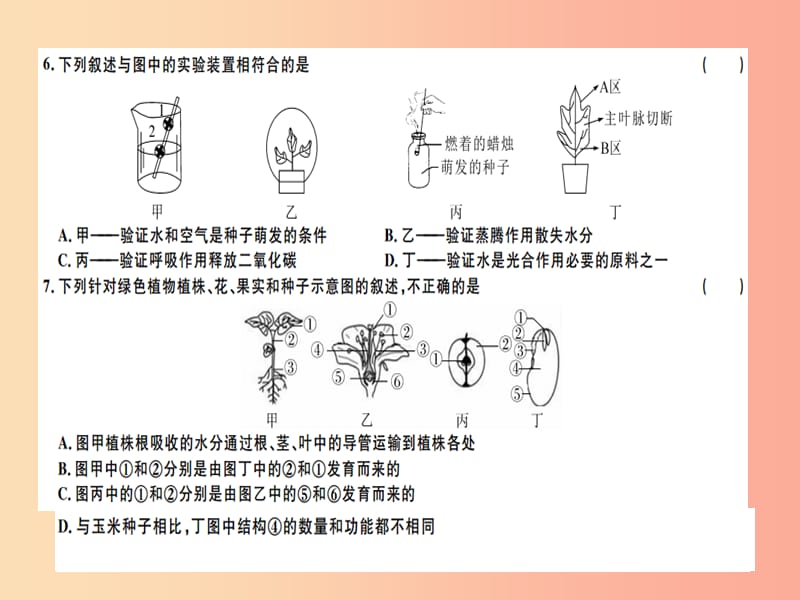 2019春八年级生物下册 模拟检测卷课件2 新人教版.ppt_第3页