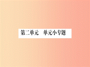 八年級歷史下冊 第二單元 社會主義工業(yè)化的奠基和社會主義制度的確立單元小專題習題課件 中華書局版.ppt