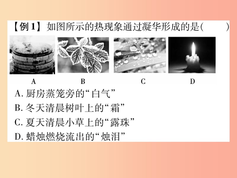 2019秋九年级物理全册第十二章第四节升华与凝华习题课件新版沪科版.ppt_第3页