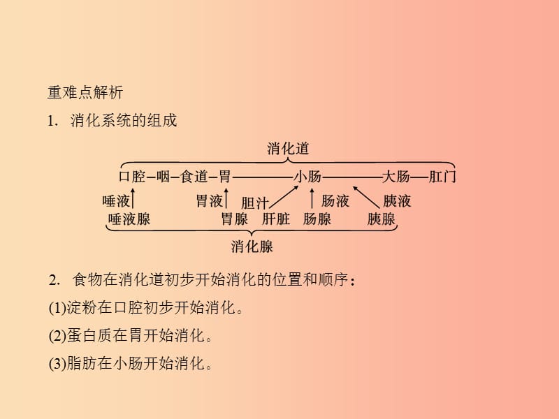 七年级生物下册 第四单元 第二章 第二节 消化和吸收习题课件 新人教版.ppt_第3页