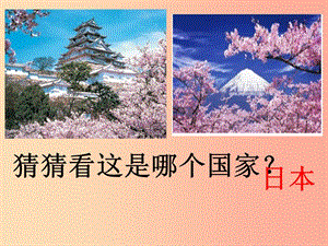 2019九年級歷史上冊 第11課 大化改新與中古日本課件 華東師大版.ppt