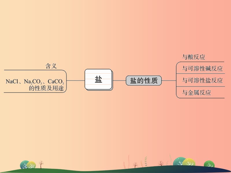 2019年中考科学总复习 第37讲 重要的盐（精讲）课件.ppt_第3页