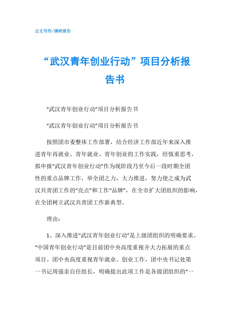 “武汉青年创业行动”项目分析报告书.doc_第1页