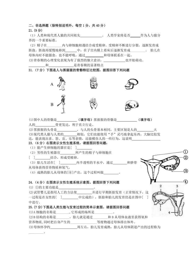 2019-2020年七年级生物下册 第一章 人的由来单元综合测试题 新人教版.doc_第3页