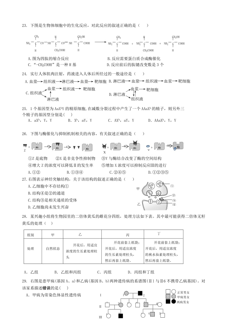 2019-2020年高三生物上学期期末教学质量检测试题.doc_第3页