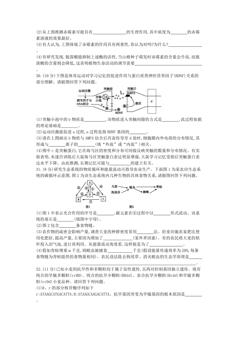 2019-2020年高三生物二轮复习 专题二 细胞的代谢 高考仿真模拟卷.doc_第2页