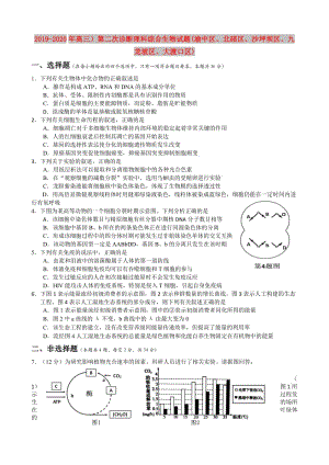 2019-2020年高三）第二次診斷理科綜合生物試題(渝中區(qū)、北碚區(qū)、沙坪壩區(qū)、九龍坡區(qū)、大渡口區(qū)).doc