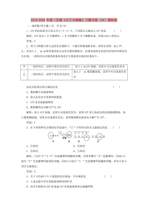 2019-2020年高一生物《分子與細(xì)胞》習(xí)題專練（66）課標(biāo)版.doc