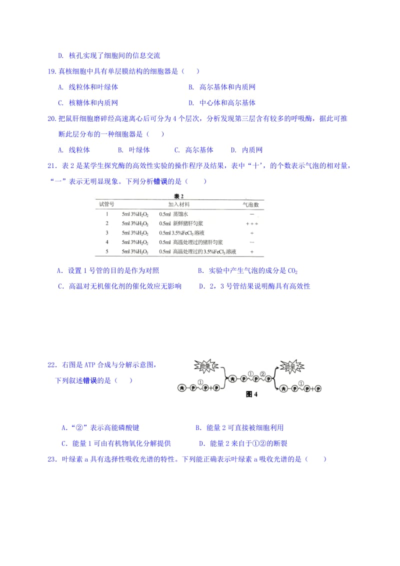 2019-2020年高一下学期期末考试生物试题 含答案(I).doc_第3页