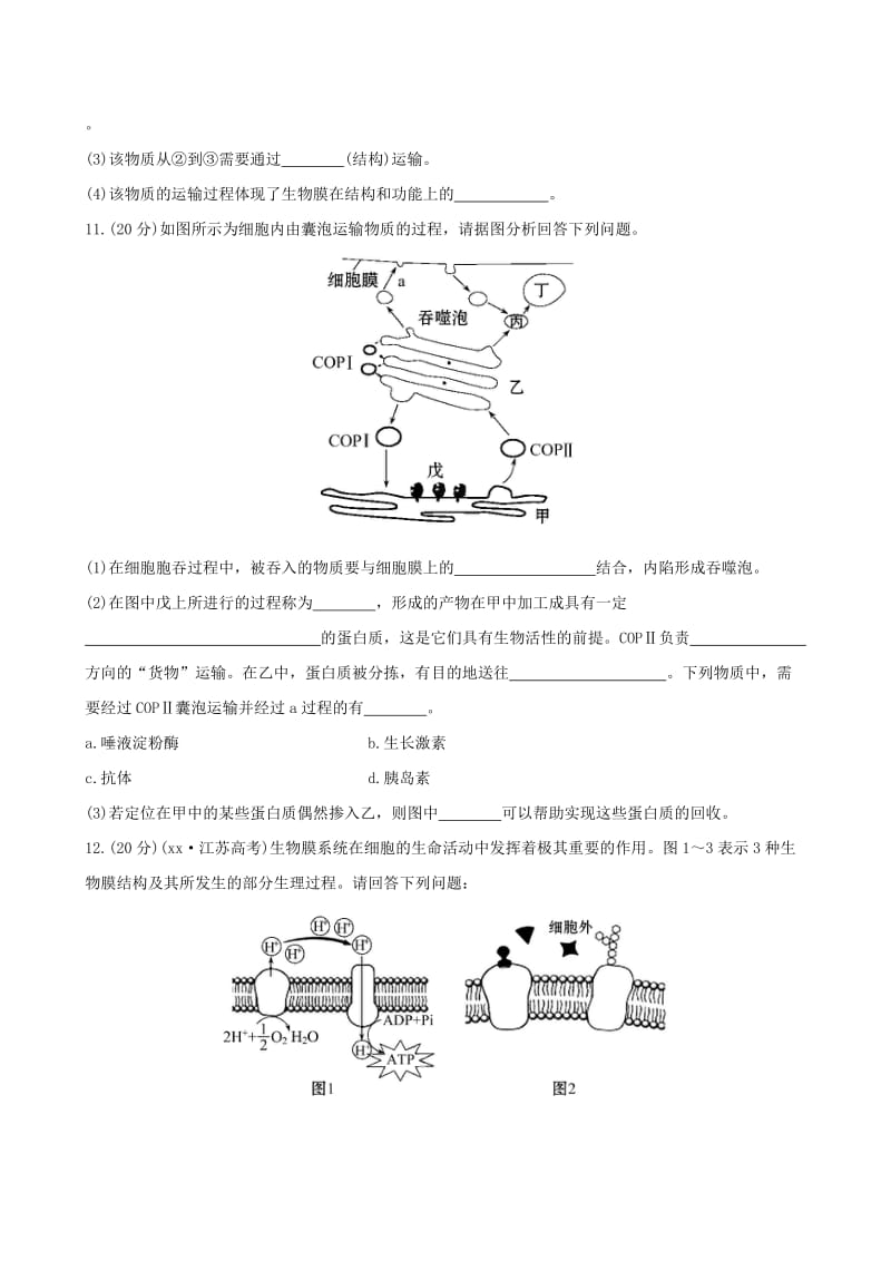 2019-2020年高三生物第一轮复习 第4章 专题强化训练 生物膜系统的囊泡分泌物和膜蛋白 新人教版必修1.doc_第3页