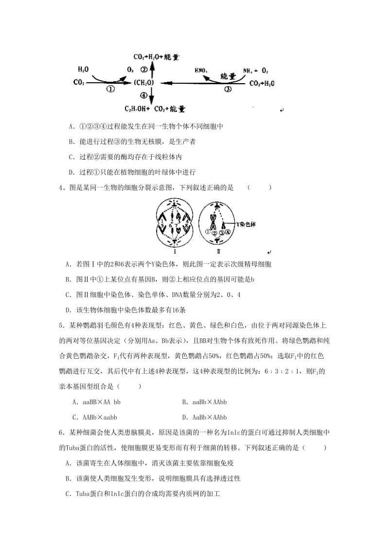 2019-2020年高三4月模拟考试理科综合试题 含答案(I).doc_第2页