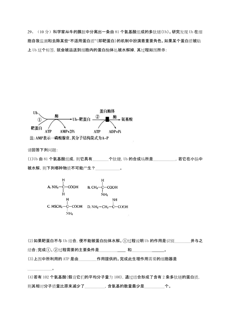 2019-2020年高三第一次模拟考试理科综合生物试题 含答案(I).doc_第3页