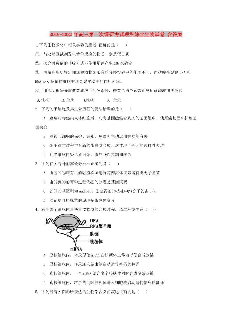 2019-2020年高三第一次调研考试理科综合生物试卷 含答案.doc_第1页