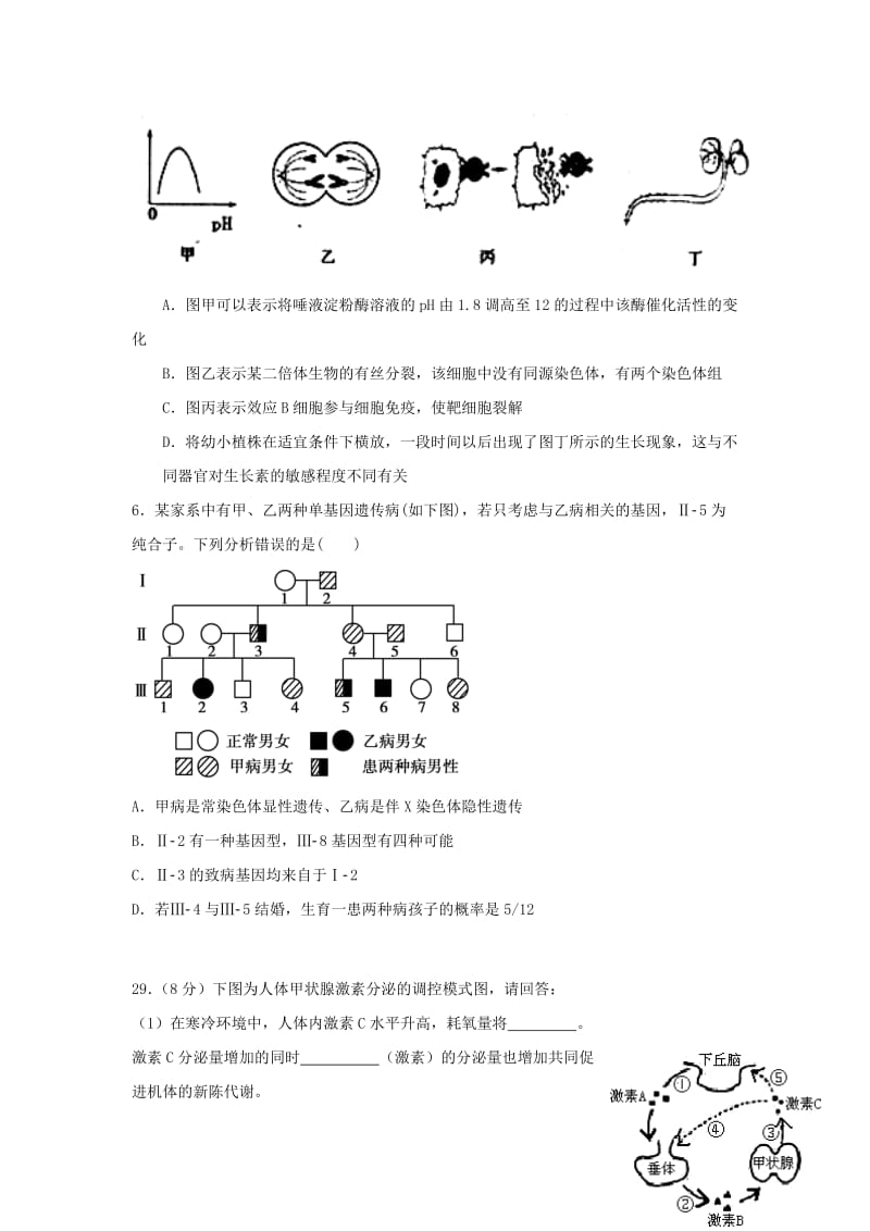 2019-2020年高三第一次调研考试理科综合生物试卷 含答案.doc_第2页