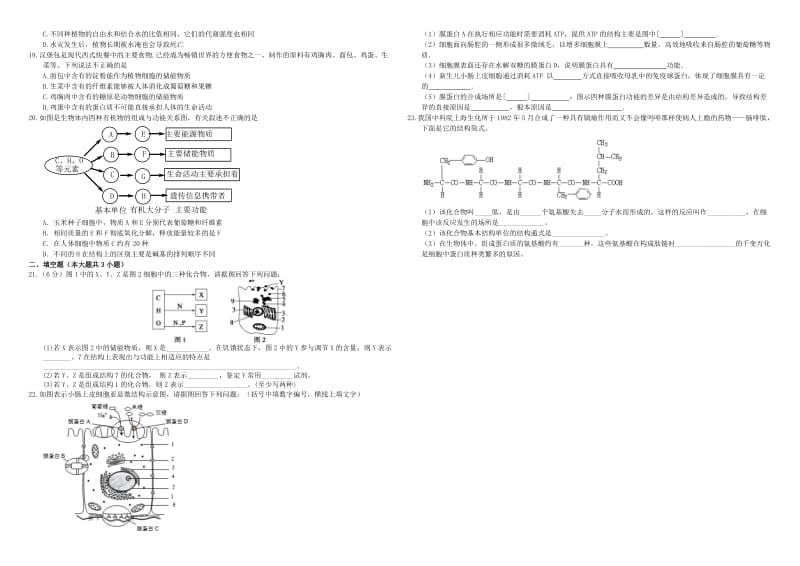 2019-2020年高三生物二轮复习 周测卷（一）走近细胞 组成细胞的分子（含解析）.doc_第2页