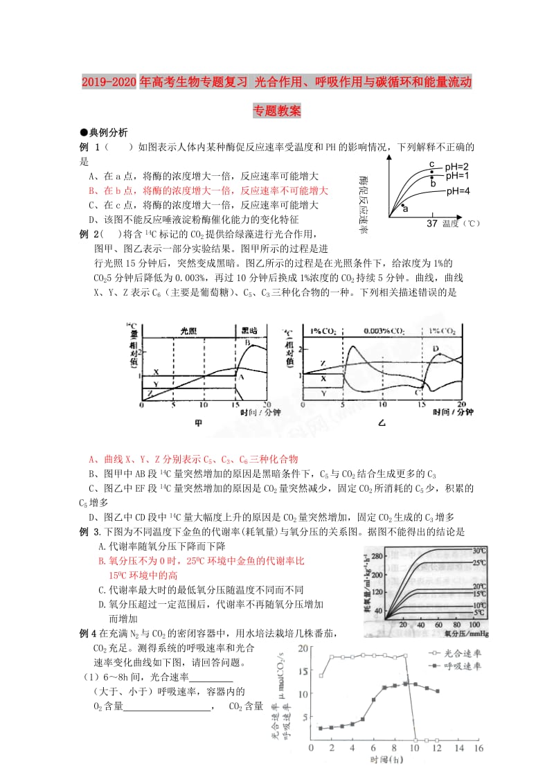 2019-2020年高考生物专题复习 光合作用、呼吸作用与碳循环和能量流动专题教案.doc_第1页