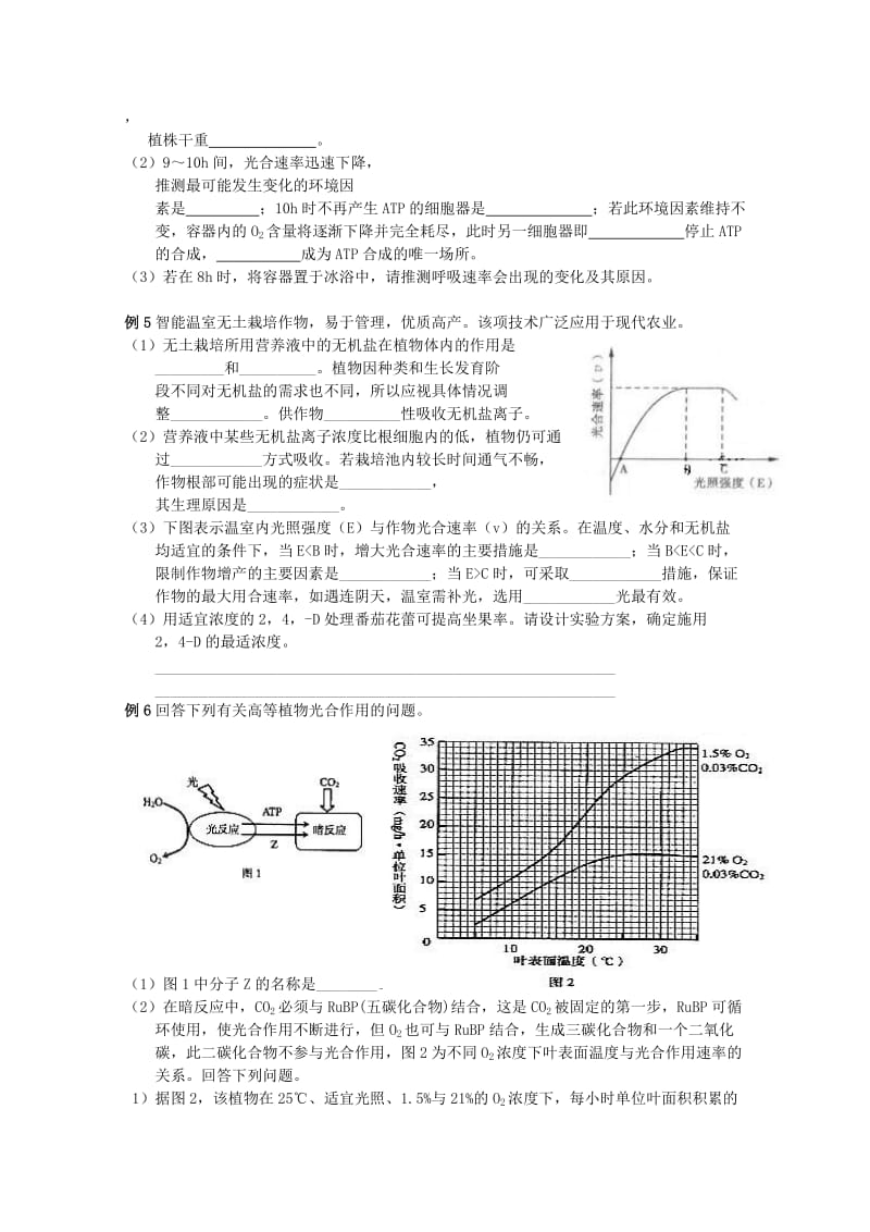 2019-2020年高考生物专题复习 光合作用、呼吸作用与碳循环和能量流动专题教案.doc_第2页