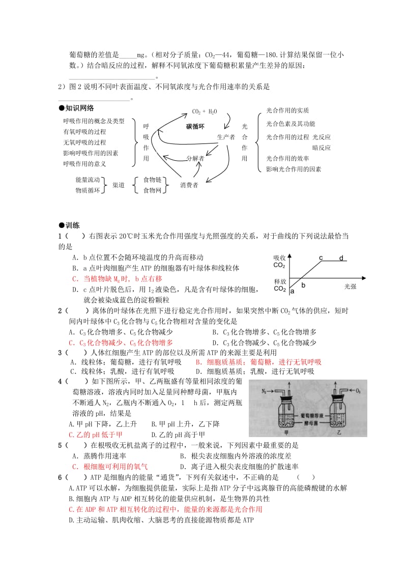 2019-2020年高考生物专题复习 光合作用、呼吸作用与碳循环和能量流动专题教案.doc_第3页