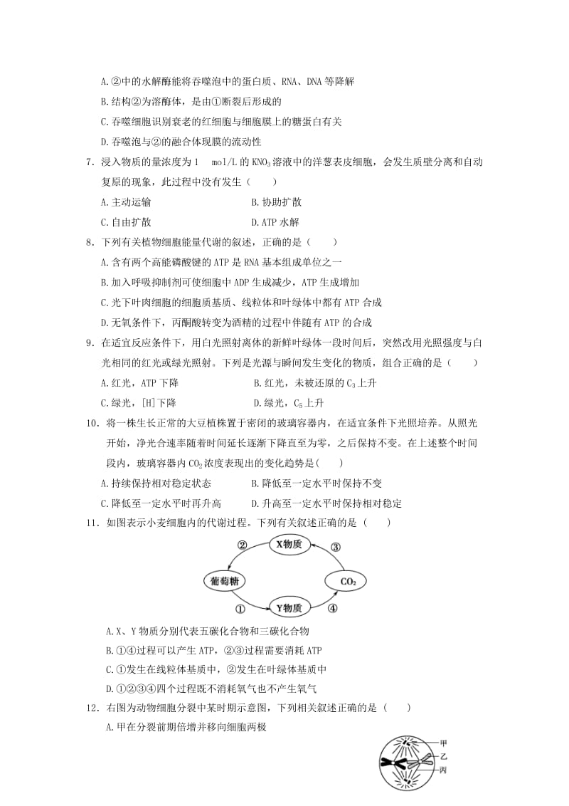 2019-2020年高三生物上学期期末学分认定考试试题B卷.doc_第2页