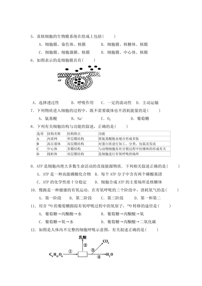 2019-2020年高一上学期期末考试生物试题 含答案(VIII).doc_第2页